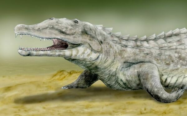An artist's reconstruction of a Phytosaur. By Nobu Tamura